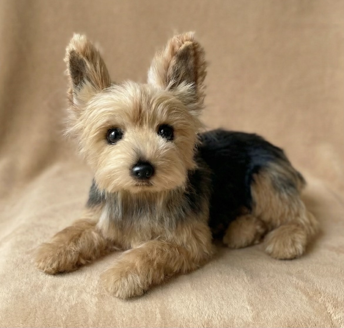 ぬいぐるみ製作実績