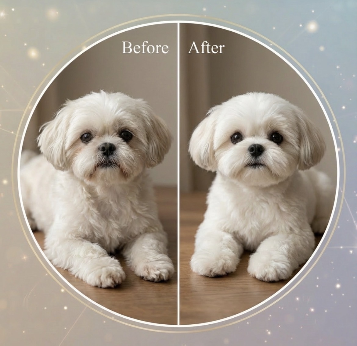 ぬいぐるみ製作実績 4