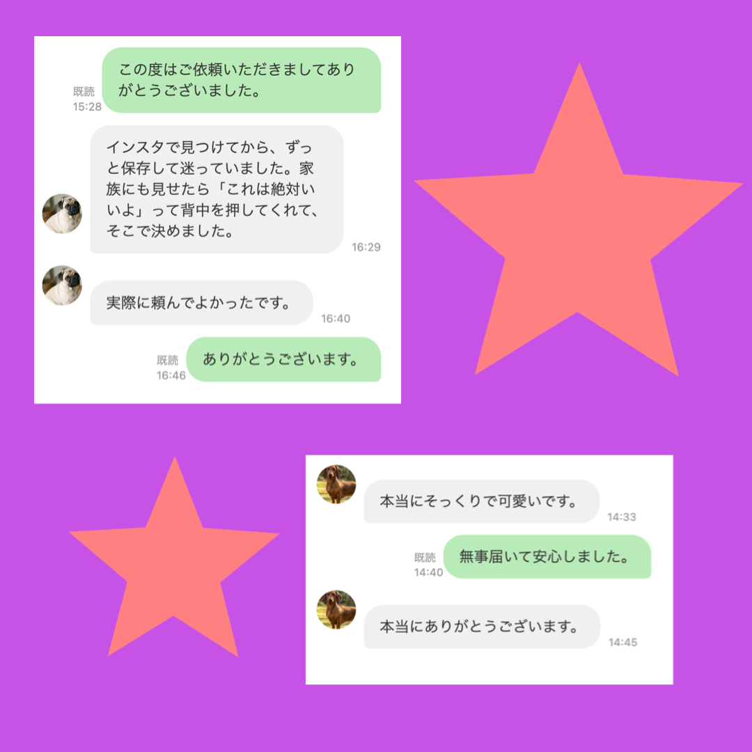 お客様の反応 11